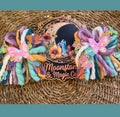 RTS 3.5” Cosmos Piggies- ON CLIPS