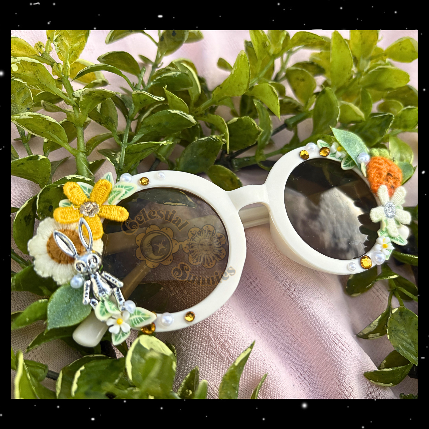RTS Velveteen Rabbit Circle Frames